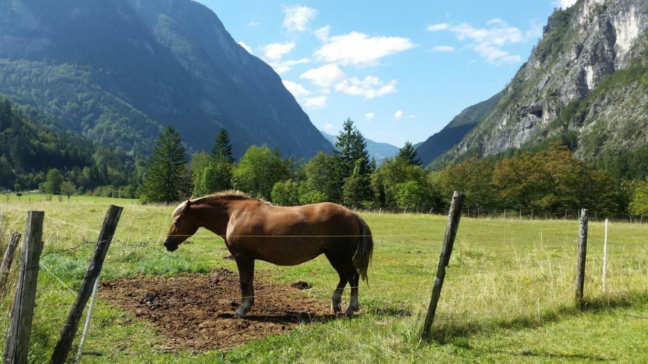 Apartmaji Stari Kovac Bovec Exterior foto